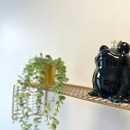 Mmrent Swamp ホームステイ グダニスク